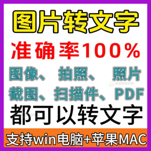 一键图片转文字拍照扫描件转Word文档Excel表格提取助手-淘宝虚拟仓