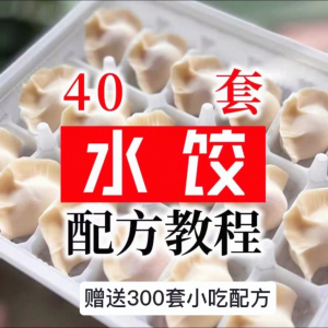 【0.01秒发】40套水饺技术配方 特制技术视频教程-淘宝虚拟仓